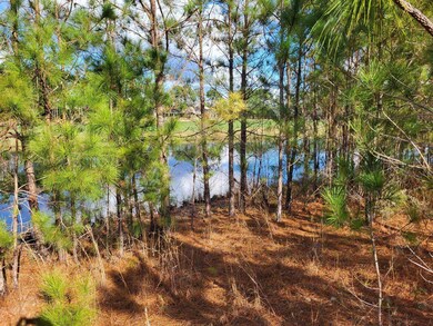 Resized_2 (005)