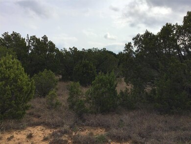 33057 Greenhill Dr, Whitney, TX 76692 - photo 3