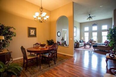 879 W Chestnut Bend Cir, Nixa, MO 65714 - photo 6