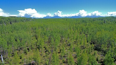 2940 S Knollwood Dr, Big Lake, AK 99654 - photo 5