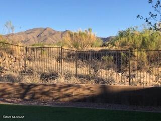 view_backyard