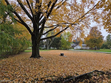 4234 Watkins Rd, Norton, OH 44203 - photo 6