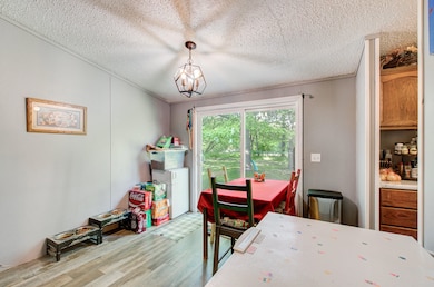 12650 State Rd, Leslie, MI 49251 - photo 5