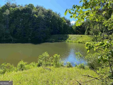 0 Oak Forest Dr unit 10652634, Clarkesville, GA 30523 - photo 3