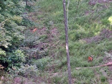 82 Baker Rd, Somerset, KY 42501 - photo 3