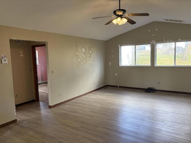 316 W Highway Dd, Miller, MO 65707 - photo 7