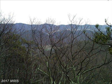 126 Spruce Shadow Ln, Circleville, WV 26804 - photo 4