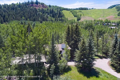 315 Glen Dee Rd Aspen CO 81611-large-003