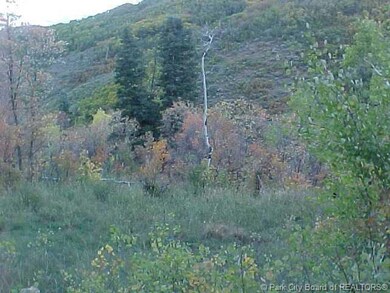 Land/Lot.