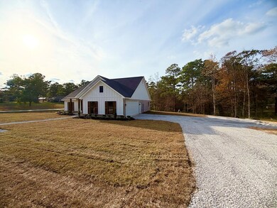3 Holcomb Carroll Rd, Carriere, MS 39426 - photo 4