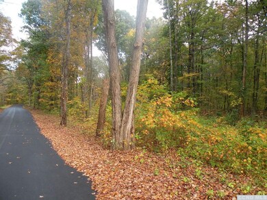 0 Cold Spring Rd unit 129301, Milan, NY 12571 - photo 4