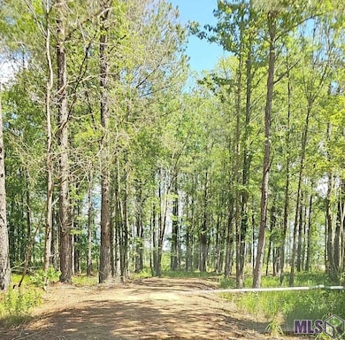 3270 Nesom Rd, Denham Springs, LA 70706 - photo 7