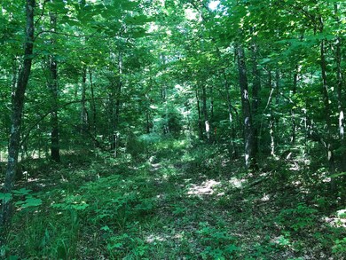 Trails to ride all around. 