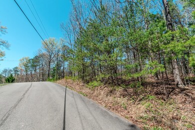 Lot 16 Country Hills Rd, Ellijay, GA 30540 - photo 7