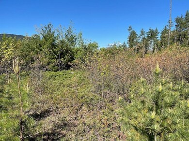 51-3 Depot Rd, Tamworth, NH 03886 - photo 7