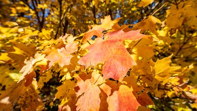 +/-25 Acres Bee Ln, Lancaster, WI 53813 - photo 6