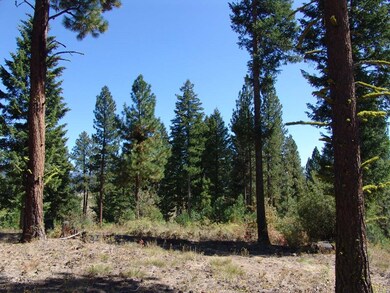 40 Rehn Loop unit 4, Cascade, ID 83611 - photo 7