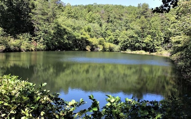 Additional View