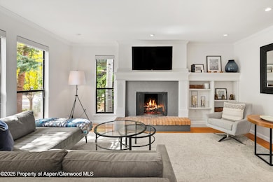 980 E Hyman Ave unit 3, Aspen, CO 81611 - photo 3