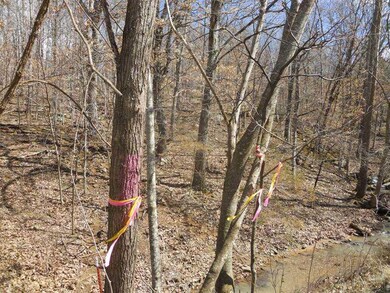 0 Stout Mountain Rd unit 729094, Winslow, AR 72959 - photo 6