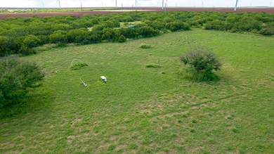 0 Cr 59 South of Fm 70 unit 11356339, Bishop, TX 78343 - photo 7