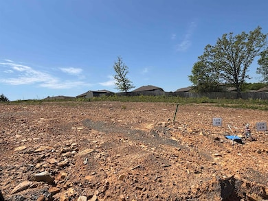 Lot 20 Madeleine Cir, Austin, AR 72007 - photo 2