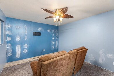 Cinema with carpet flooring and ceiling fan