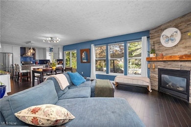 Living area with a textured ceiling, dark wood-type flooring, and a stone fireplace