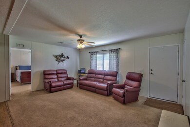 80 Sue Ln, Crawfordville, FL 32327 - photo 6