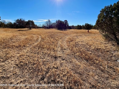 103 Cochiti Ct, Alto, NM 88312 - photo 3