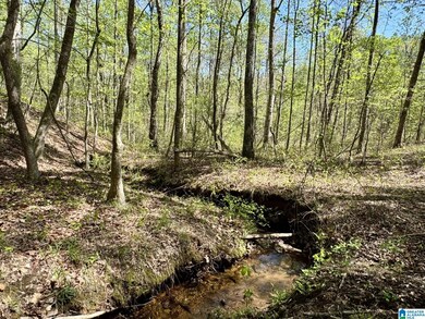 Tract 4 County Road 268 unit 4, Roanoke, AL 36274 - photo 6