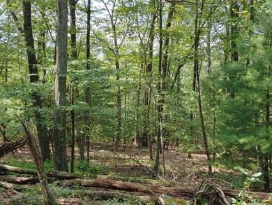 0904201345a_HDR