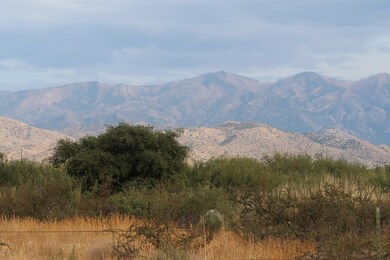 IMG_3250 (1)
