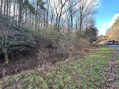 TBD Dickey Rd, Murphy, NC 28906 - photo 2