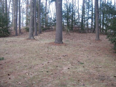 3. East Shore - Large back yard