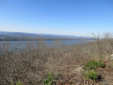 0 Scenic Dr unit 19785816, Section, AL 35771 - photo 5