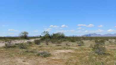 75E and Salome Rd, Salome, AZ 85348 - photo 5
