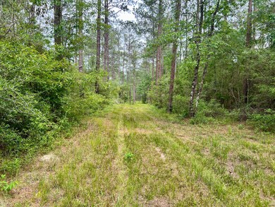Accessible Path
