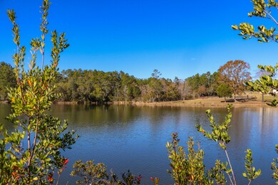 Lake View 3