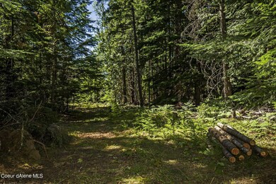 Trail