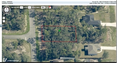 6251 N Walter Terrace, Pine Ridge, FL 34434 - photo 4