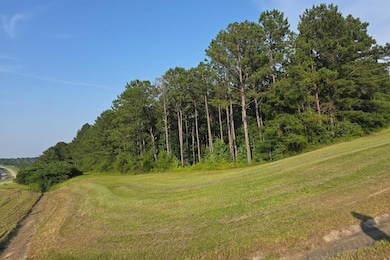 4451 Hwy 431 S, Eufaula, AL 36027 - photo 2