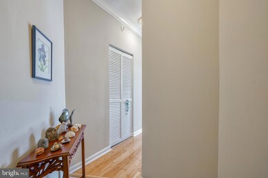 23 Pierside Dr unit 316, Baltimore, MD 21230 - photo 4
