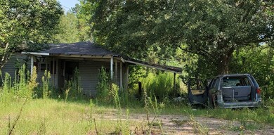 121 Crumbley Ln, Sylvester, GA 31791 - photo 2