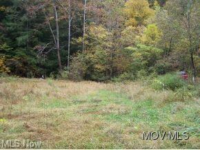 More overgrown level area