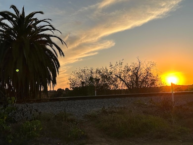 Evening view