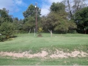 rear yard