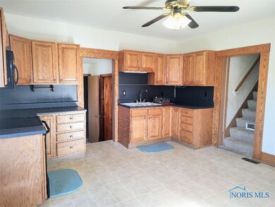 205 Wilson St, Archbold, OH 43502 - photo 4