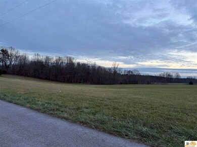 5 Lots at 3319 Allen Schoolhouse Rd, Columbia, KY 42728 - photo 4