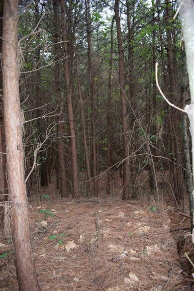 8 A St, Inman, SC 29349 - photo 6